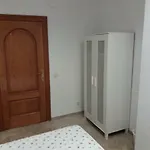 Patio De La Fuenseca Córdoba